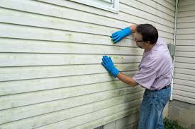 Best Vinyl Siding Installation  in Tanglewilde, WA